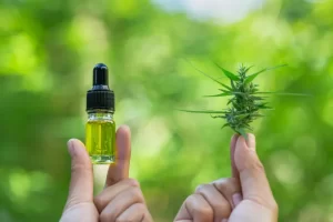 Most Potent CBD Hemp Brand