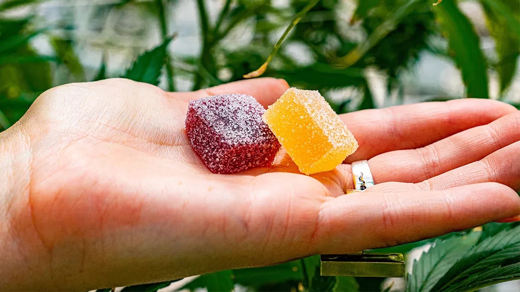 Everything You Need to Know About the CBD Gummies