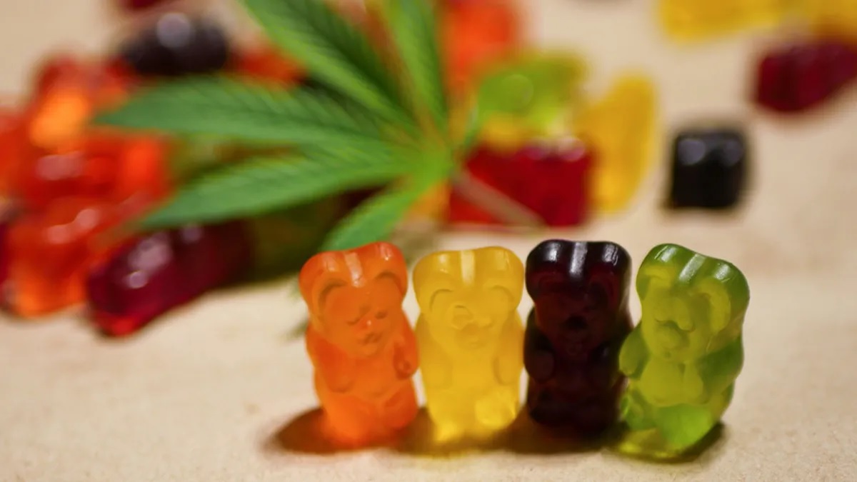Brands For Premium Weed Edibles In 2022: Best THC Gummies