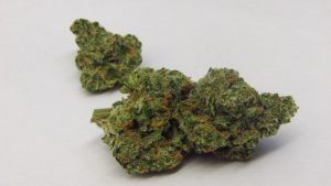 Delta-8 flower: A Comprehensive Guide to the Best Type of Cannabis to Grow