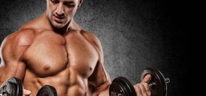 Buy the Right Supplements For Muscle Growth