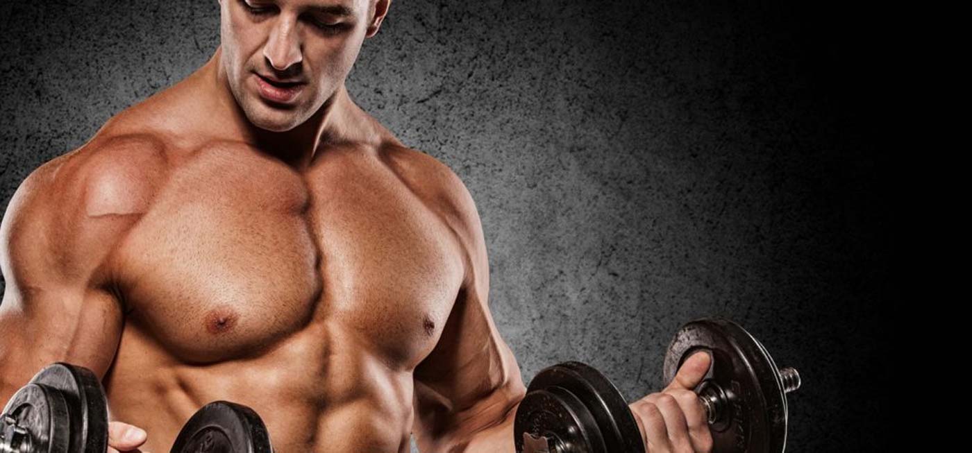 Buy the Right Supplements For Muscle Growth
