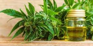 CBD Oil For Anxiety: Everything You Need To Know
